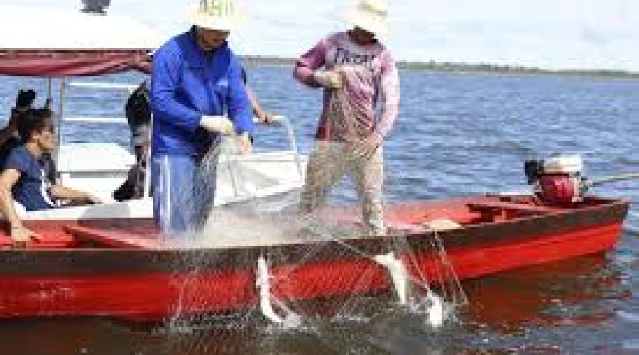 PF vai investigar fraudes no seguro-defeso do Pescador Artesanal no Maranhão