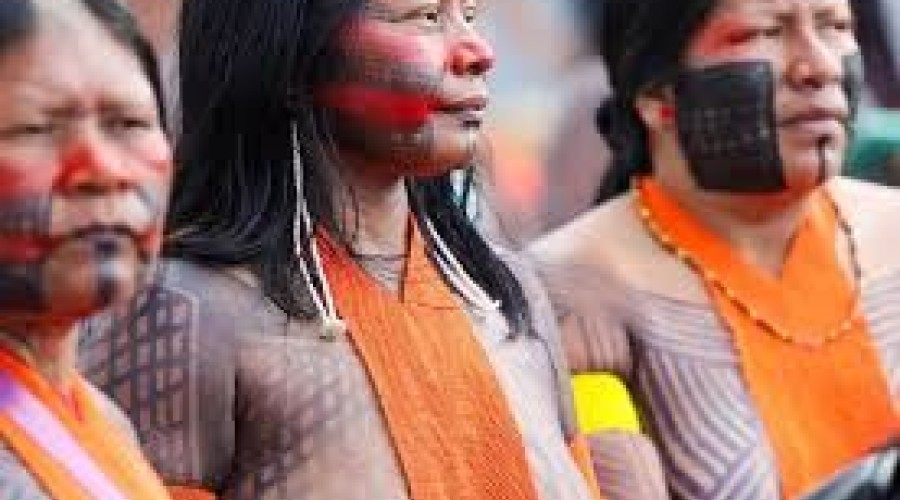 Campanha de vacinação vai aplicar doses em territórios indígenas