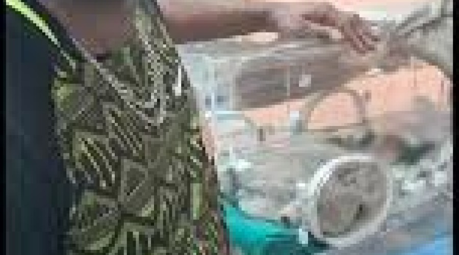 Filhos de gari que encontrou bebê no lixo já preparam quarto para acolher a criança que ele pretende adotar