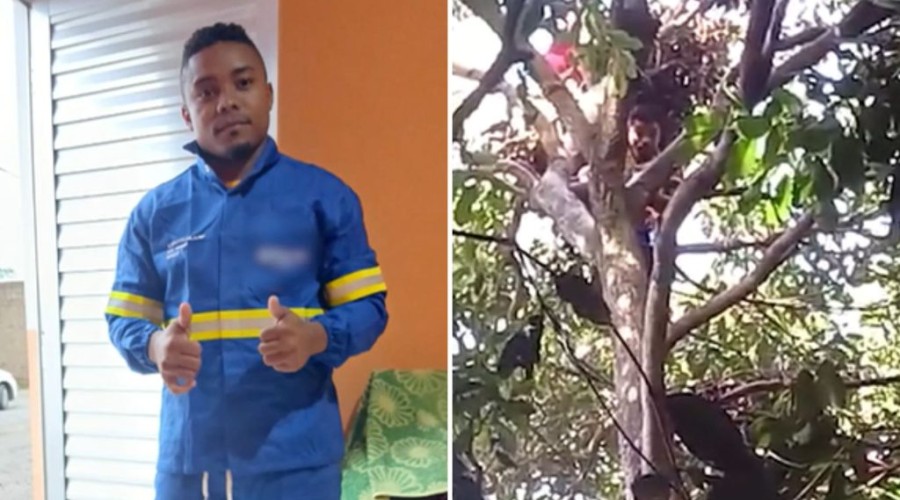 Resgate de maranhense encontrado em cima de árvore já dura mais de 36h