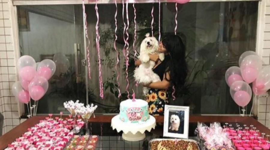 Assista vídeos: ANTES NÃO TINHA, AGORA TEM! Parente de Márcio Jerry faz festa de aniversário para cachorro