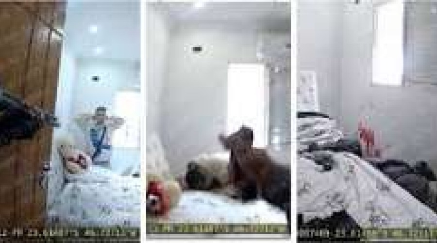 EXCLUSIVO: novos vídeos mostram PMs matando jovem rendido e com as mãos à mostra em Paraisópolis; agentes sussurram após tiros