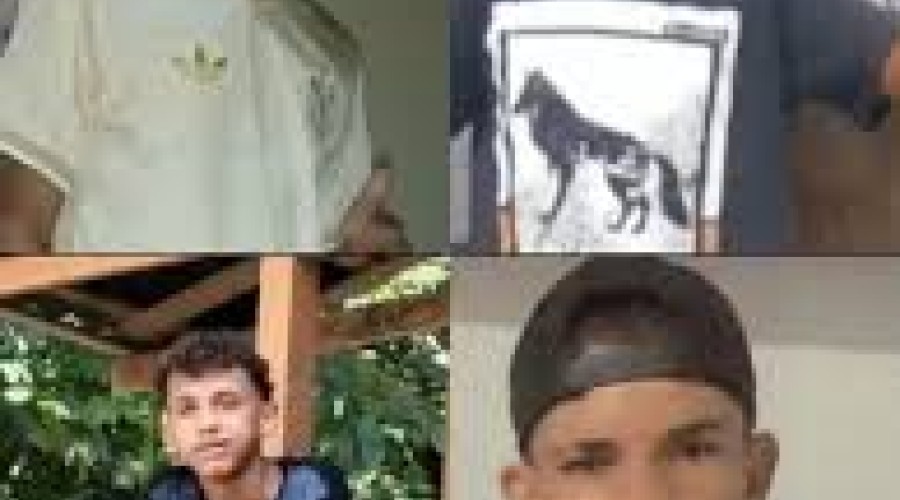 Itapecuru-Mirim: Chacina - quatro corpos são achados empilhados em área de mata no Maranhão