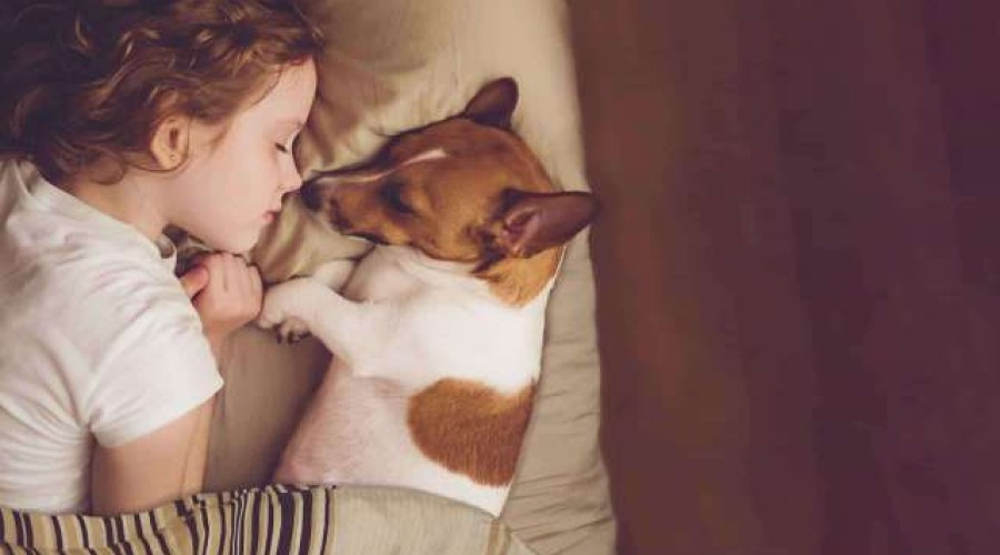 Dormir na mesma cama com um cão faz mal à saúde?