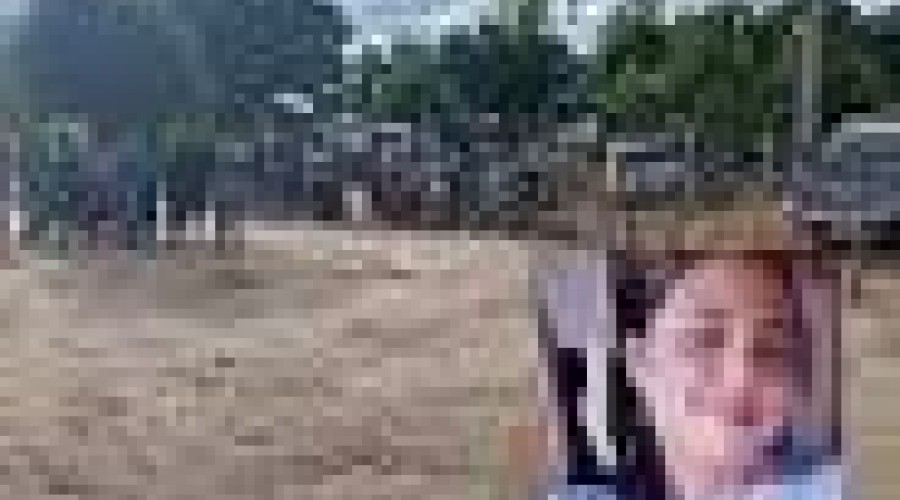 Após discussão em festa, mulher é assassinada com 20 facadas