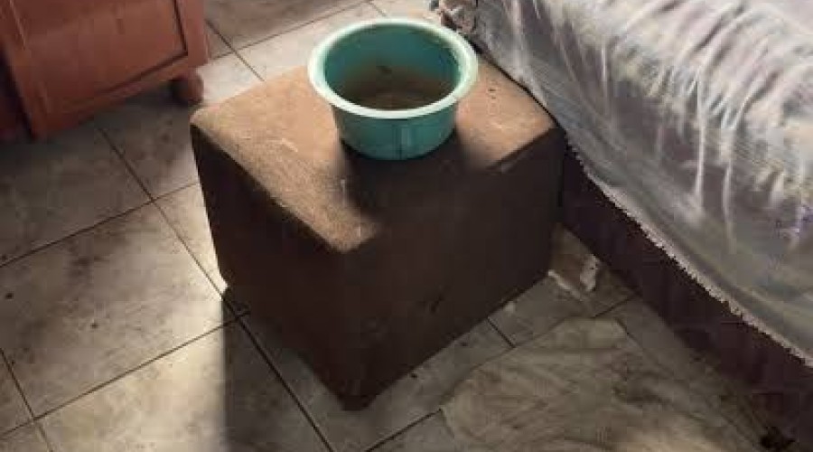 Caxias: Homem é preso por abandonar e maltratar a mãe de 96 anos