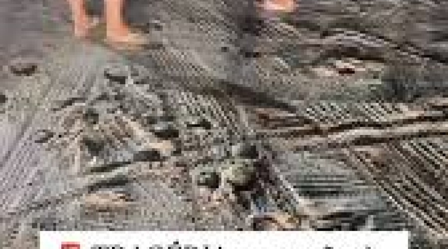 Homem é morto após gravação de cantor em praia da Grande Ilha de São Luís