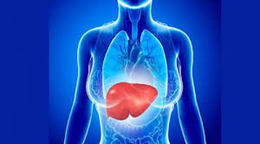 Saúde: 5 frutas que ajudam a evitar gordura no fígado