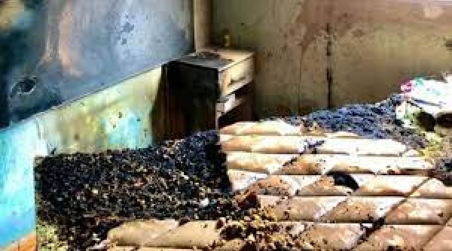 MARANHÃO: Mulher é presa suspeita de agredir fisicamente e atear fogo na casa da própria mãe, de 80 anos