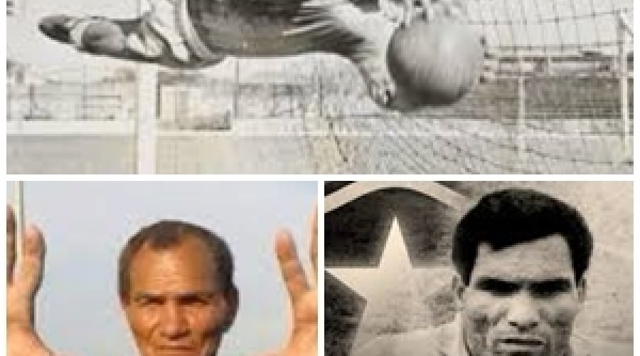 Ex-goleiro Manga morre aos 87 anos