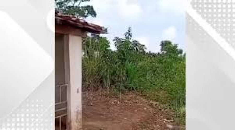 Pio XII: Dois homens são assassinados a tiros em matagal no interior do Maranhão